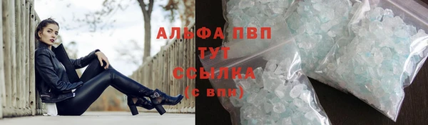 спайс Ельня