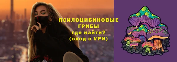 PSILOCYBIN Елизово