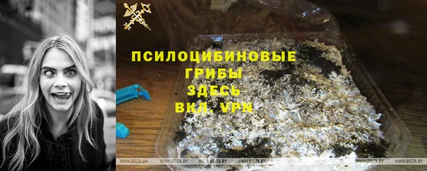 PSILOCYBIN Елизово