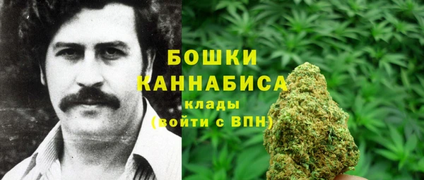 спайс Ельня