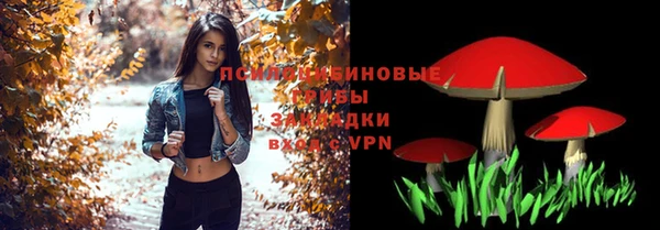 спайс Ельня