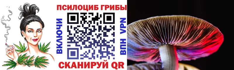 мега онион  Заринск  Псилоцибиновые грибы мухоморы 